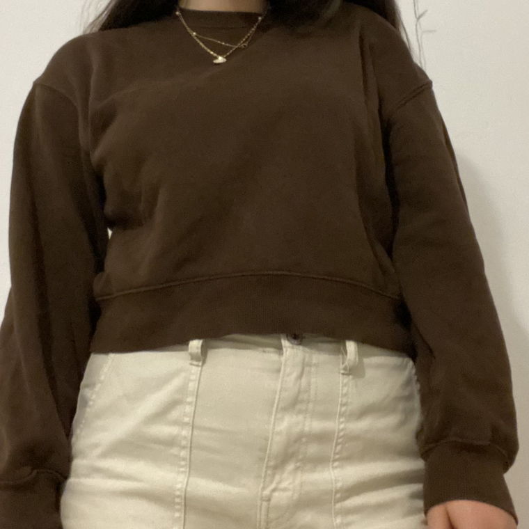 brown cropped sweatshirt