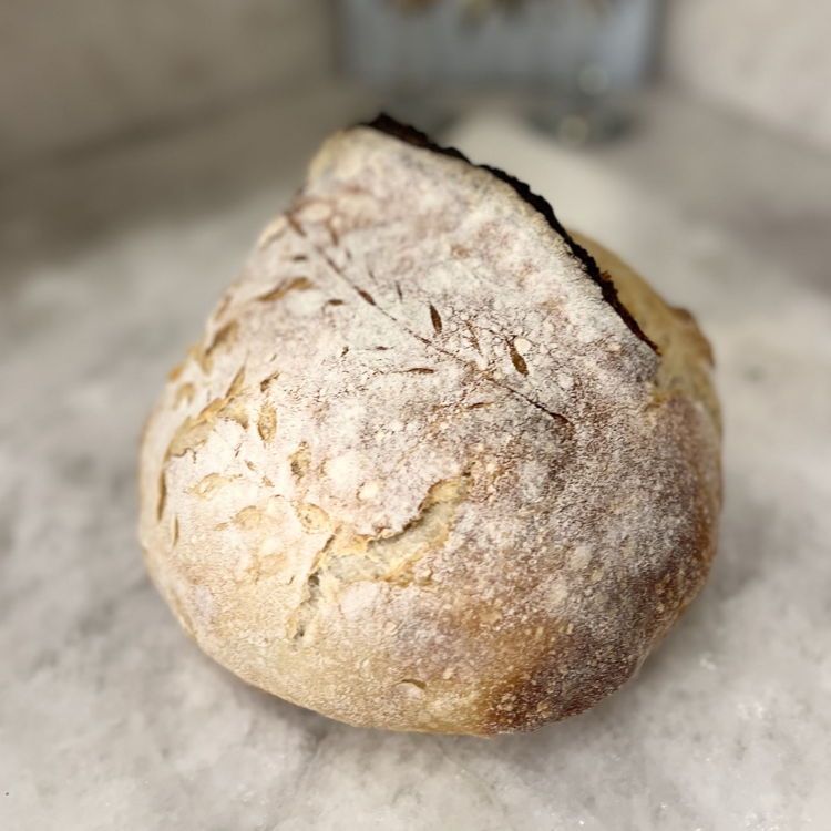 Dafne Wiswell • Taste and See Microbakery — photo from hotplate.com
