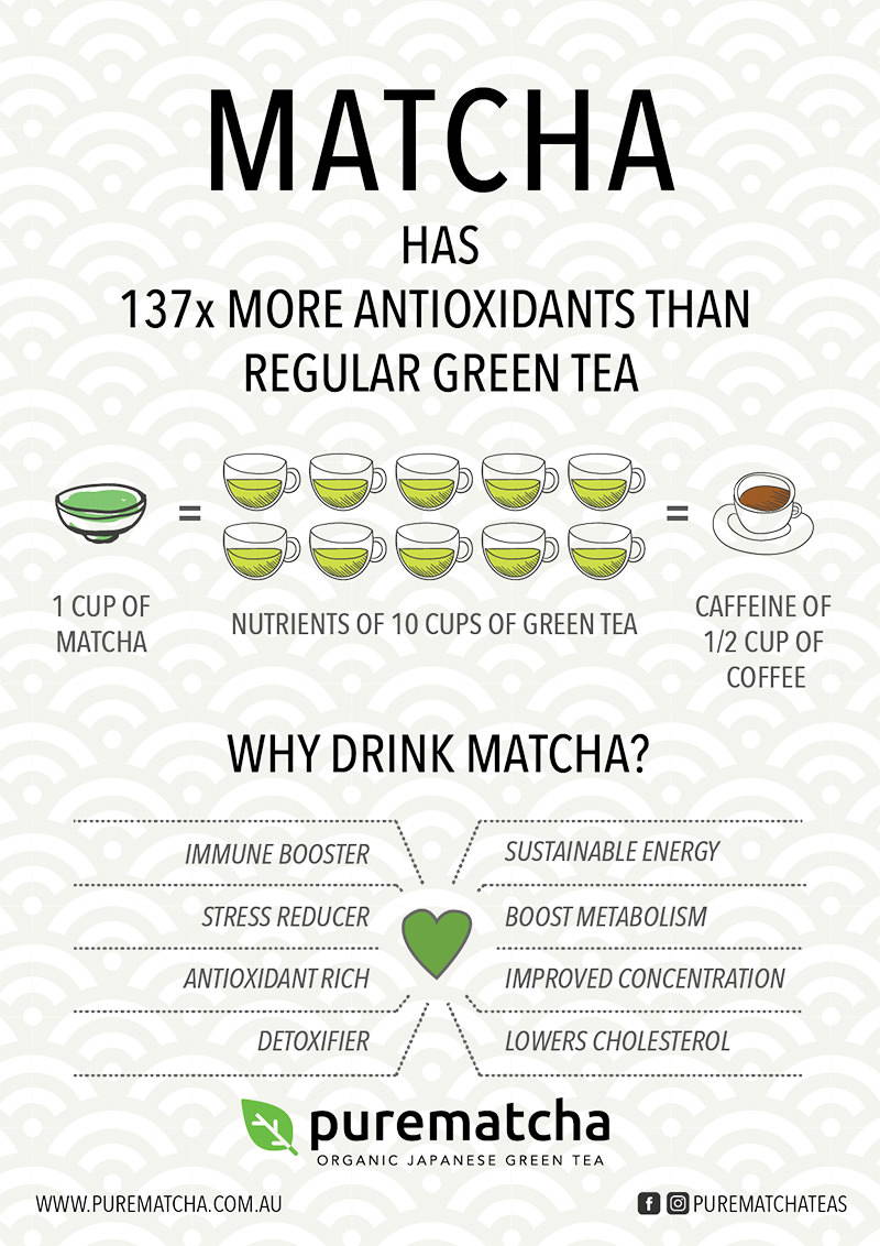 Matcha health benefits infographic