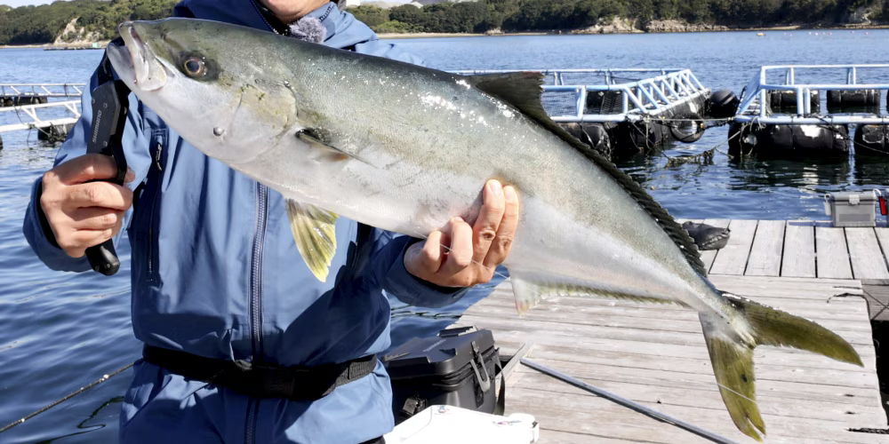 ベイトサグリの性能_魚