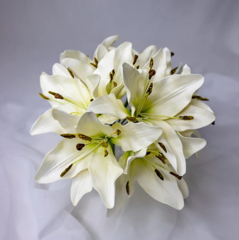 White Asiatic Lily Flowerhead - Realistic Artificial Flowers - Image 4