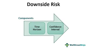 Downside Risk