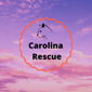Carolina Sanctuary and Rescue logo