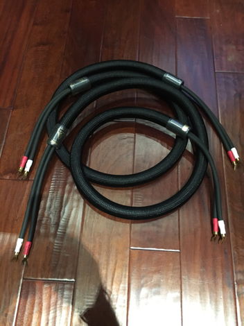 Shunyata Research Anaconda Speaker Cable [2 meters]