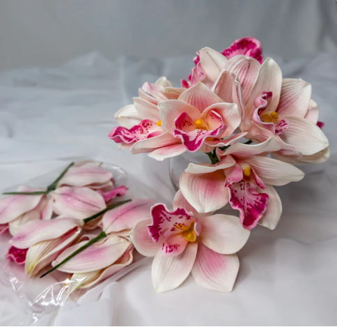Pink Cymbidium ( 6 Pack ) - Realistic Artificial Flowers