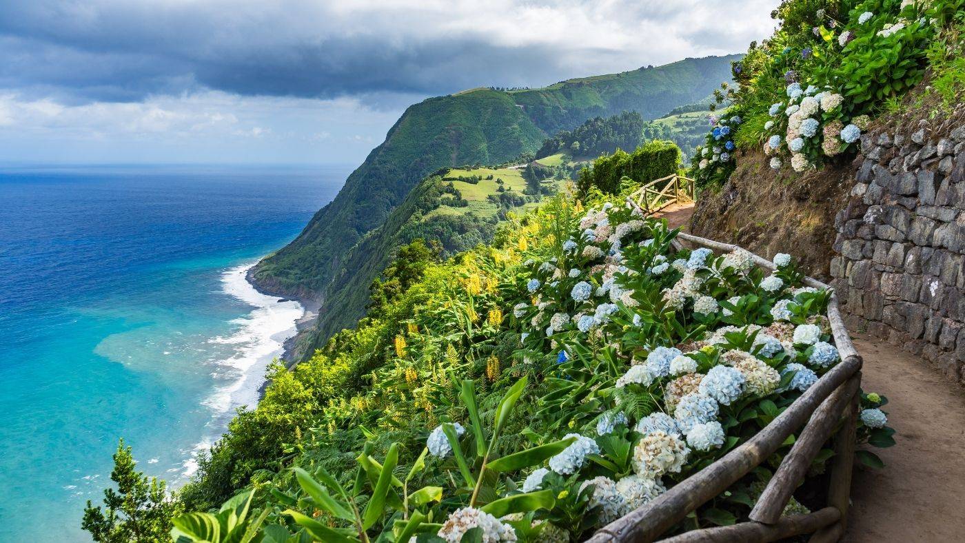 Azores Portugal Travel Guide Picture of Cliff Overlooking Ocean with Hydrangeas