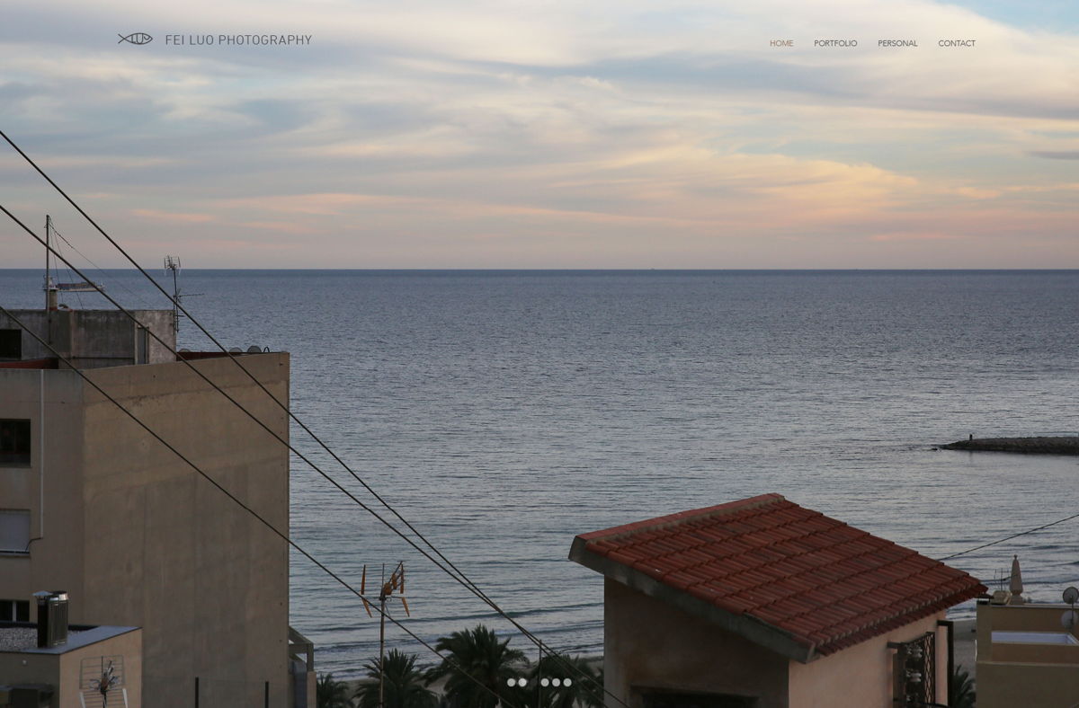 Screenshot of Fei Luo Photography, from the wix photography website examples collection.