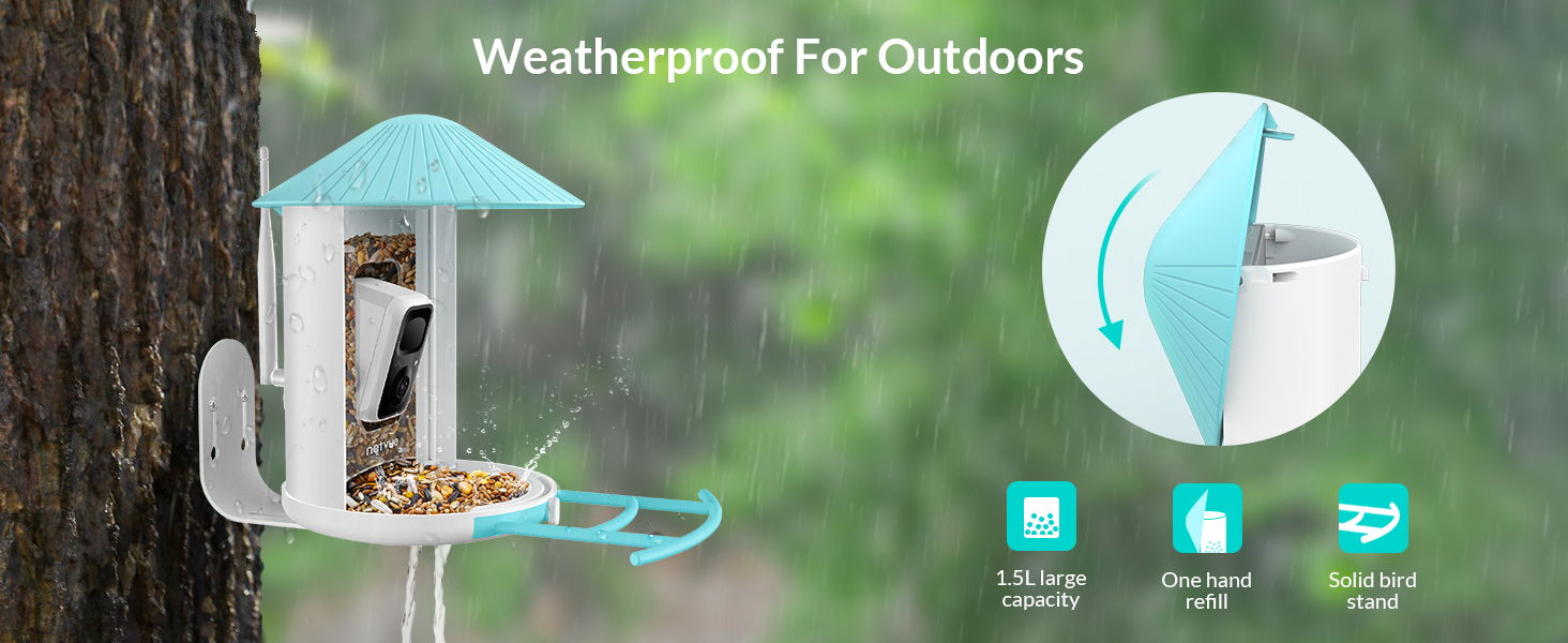 BIRDFEEDER - Weatherproof for Outdoors