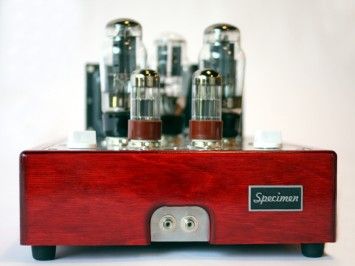 specimen Single Ended Hi-Fi Stereo Tube Amp