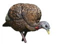 Avian X LCD Feeder Hen