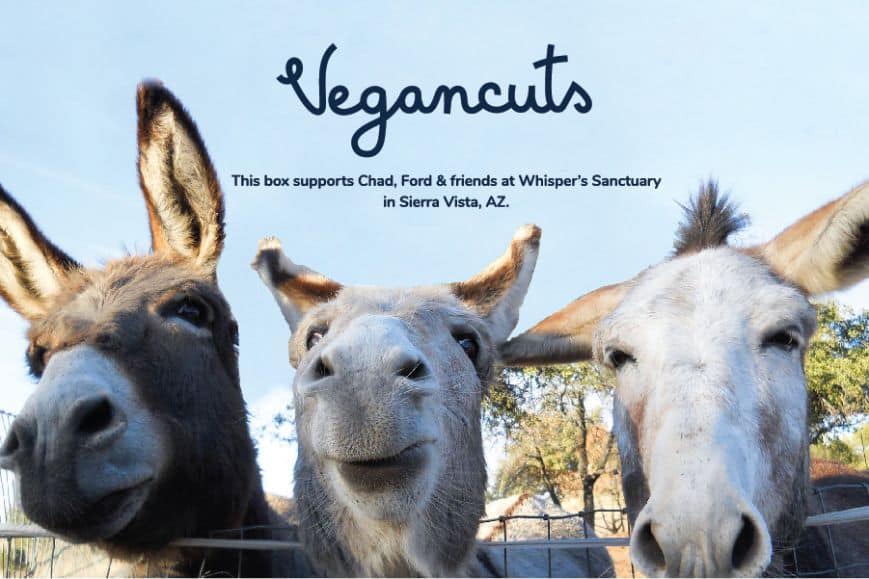 Chad, Ford, & Friends at Whisper Sanctuary | Vegancuts Donation Program