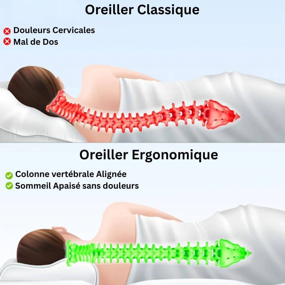 Oreiller Memoire de Forme, Coussin Cervical, Oreiller Ergonomique, Coussin Memoire de Forme, Oreiller Cervical, Oreiller Cervical Orthopedique, Oreiller Memoire de Forme, Coussin Memoire de Forme, Oreiller Cervical