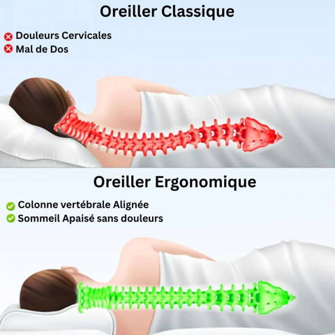 Oreiller Cervical Ergonomique, Coussin Memoire de Forme, Coussin Cervical, Oreiller Ergonomique,  Oreiller Cervical
