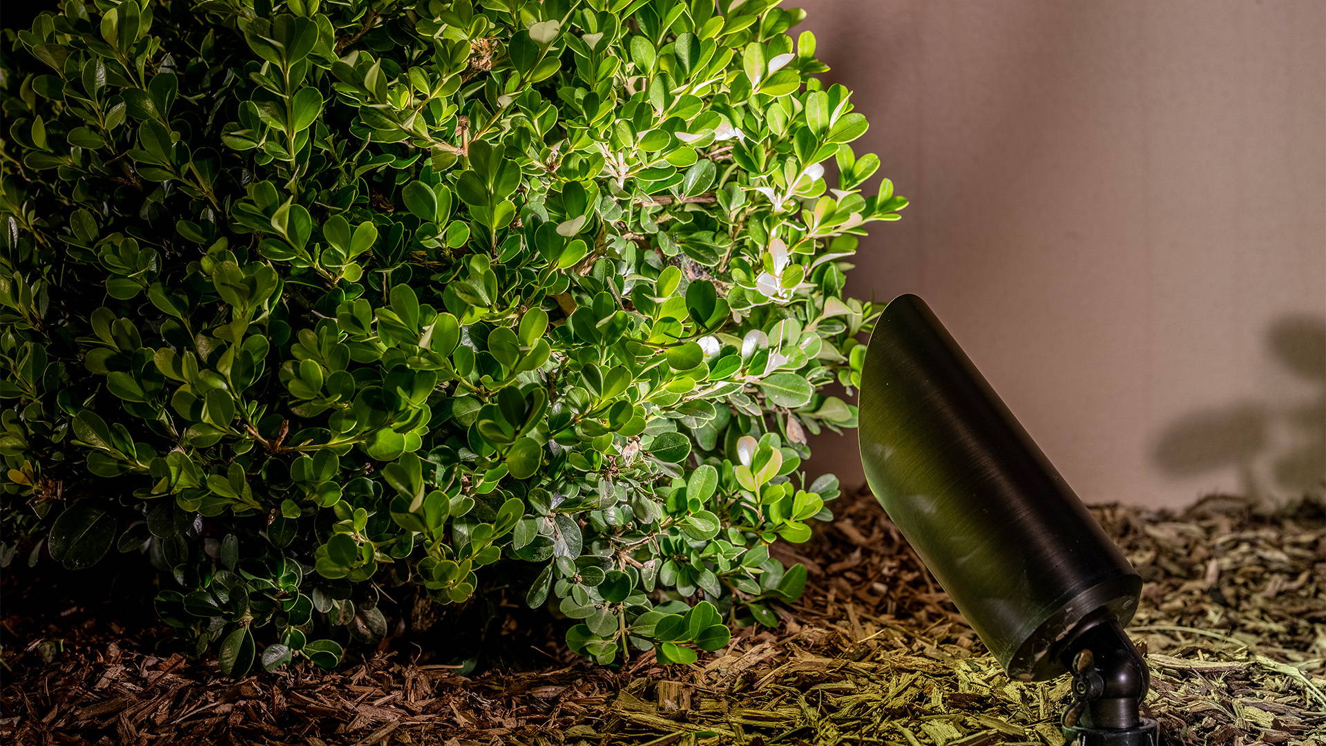 Havit Lighting - Outdoor Lighting by Havit  - Garden Lighting by Havit  - Close up of a garden spike spot light by havit, illuminating a small bush in a garden bed at the Palm Beach beach house.