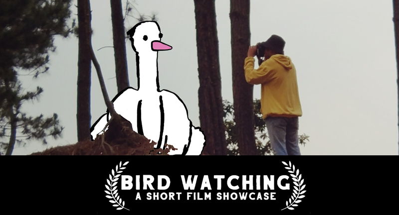 Bird Watching - A Short Film Showcase
