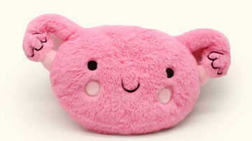 Main Content Image