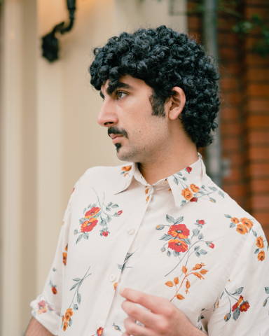 Dana Arab Ovisi