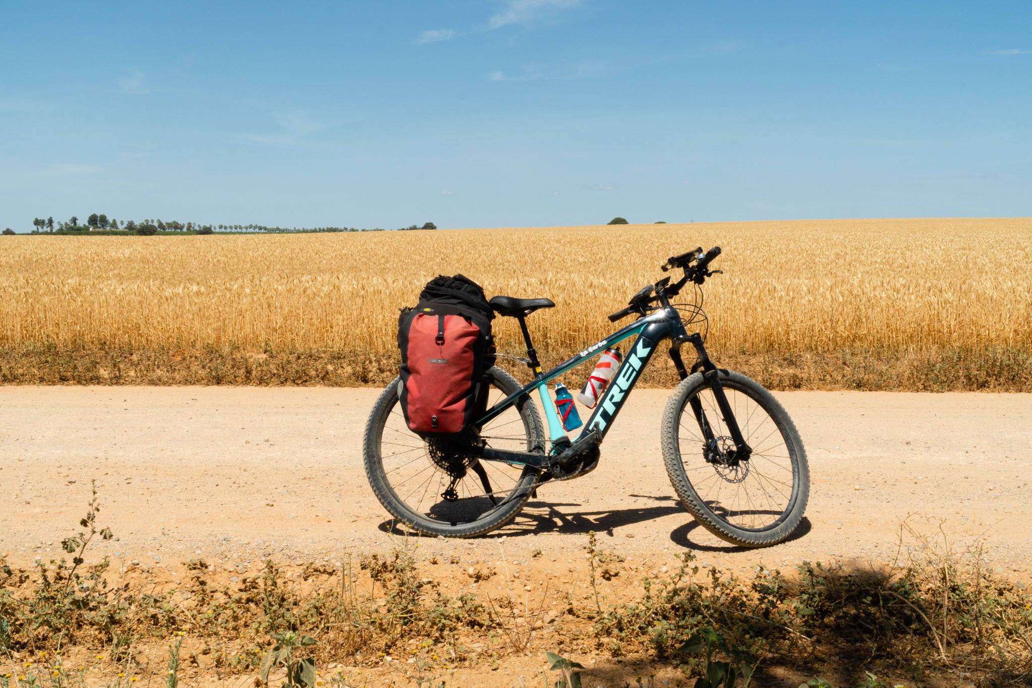 mountain bike elettrica