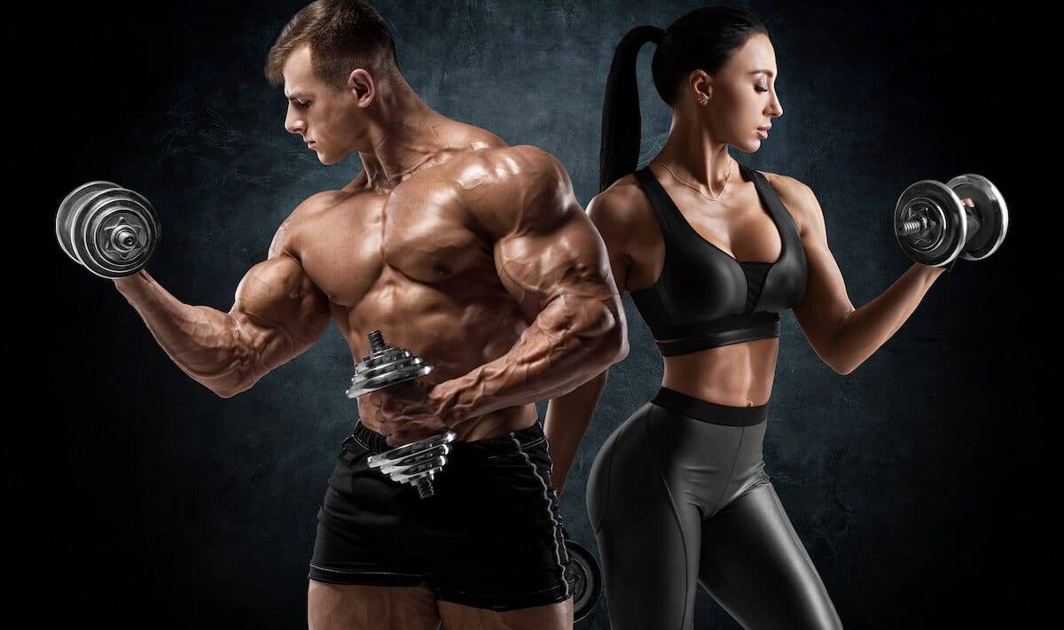 muscle Growth