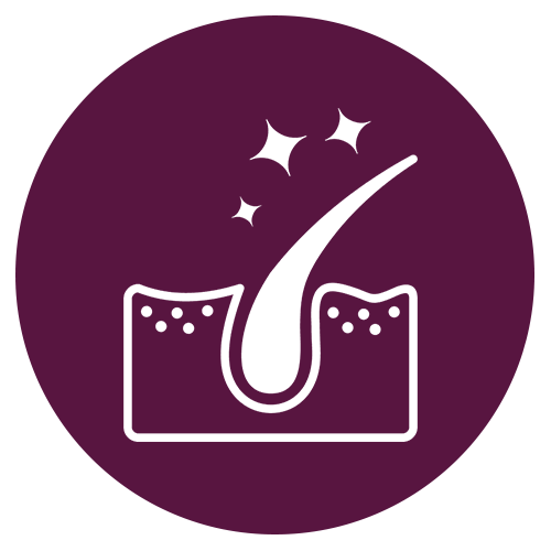 Healthy hair follicle from the best supplements for hair growth and thickness