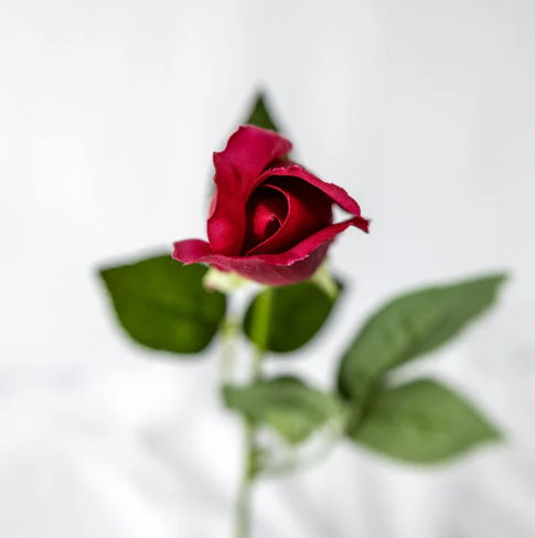Red Real Touch Bud- Realistic Artificial Flowers - Image 3