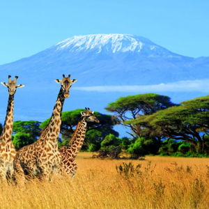 Tanzania