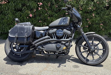 2019 HARLEY-DAVIDSON XL1200NS IRON 1200 motorcycle for rent near Lincoln, CA