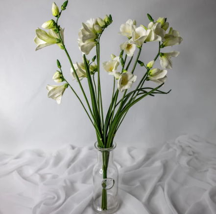 Freesia White Real Touch - Realistic Artificial Flowers - Image 2