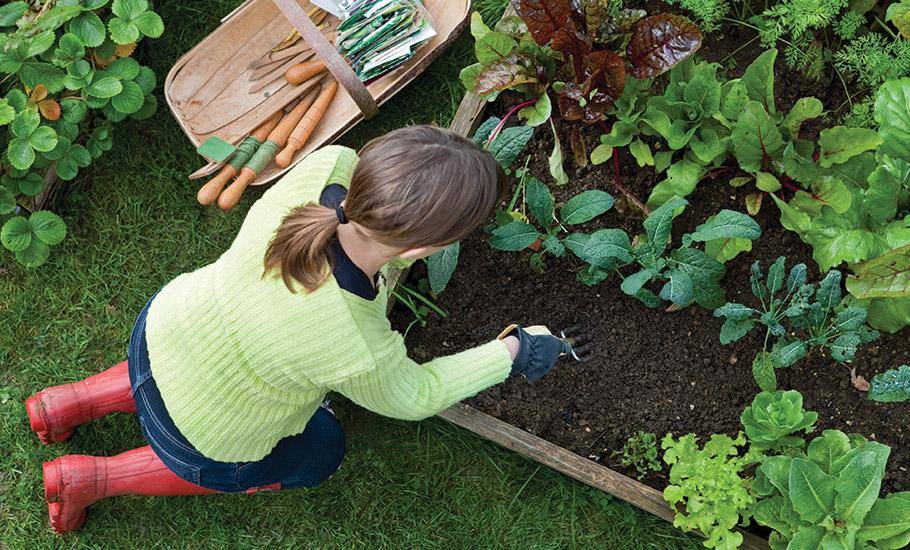 A top-down view of a woman, wearing red boots, jeans and a green sweater, kneeling in the grass gardening.