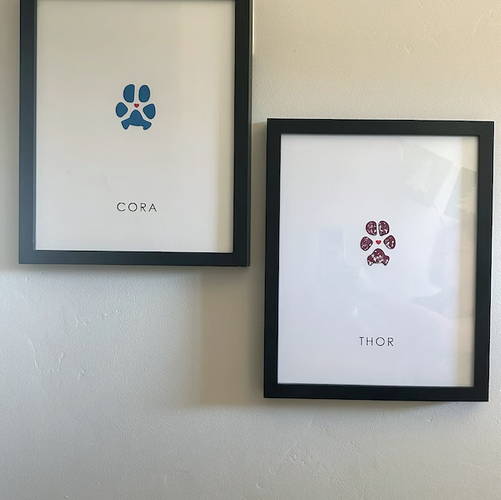 Two dog paw prints in different frames hung on wall