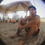 Alon Alaverov