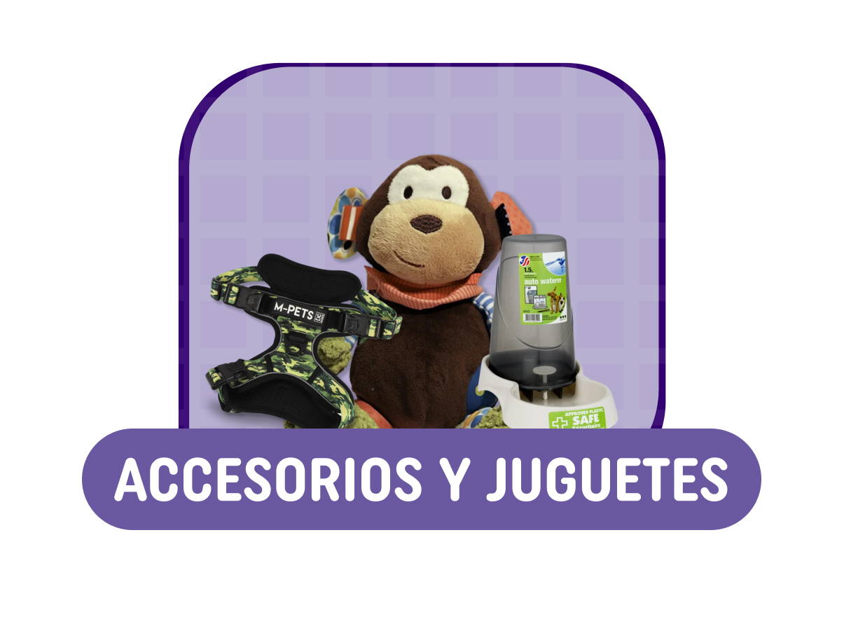 accesorios y juguetes