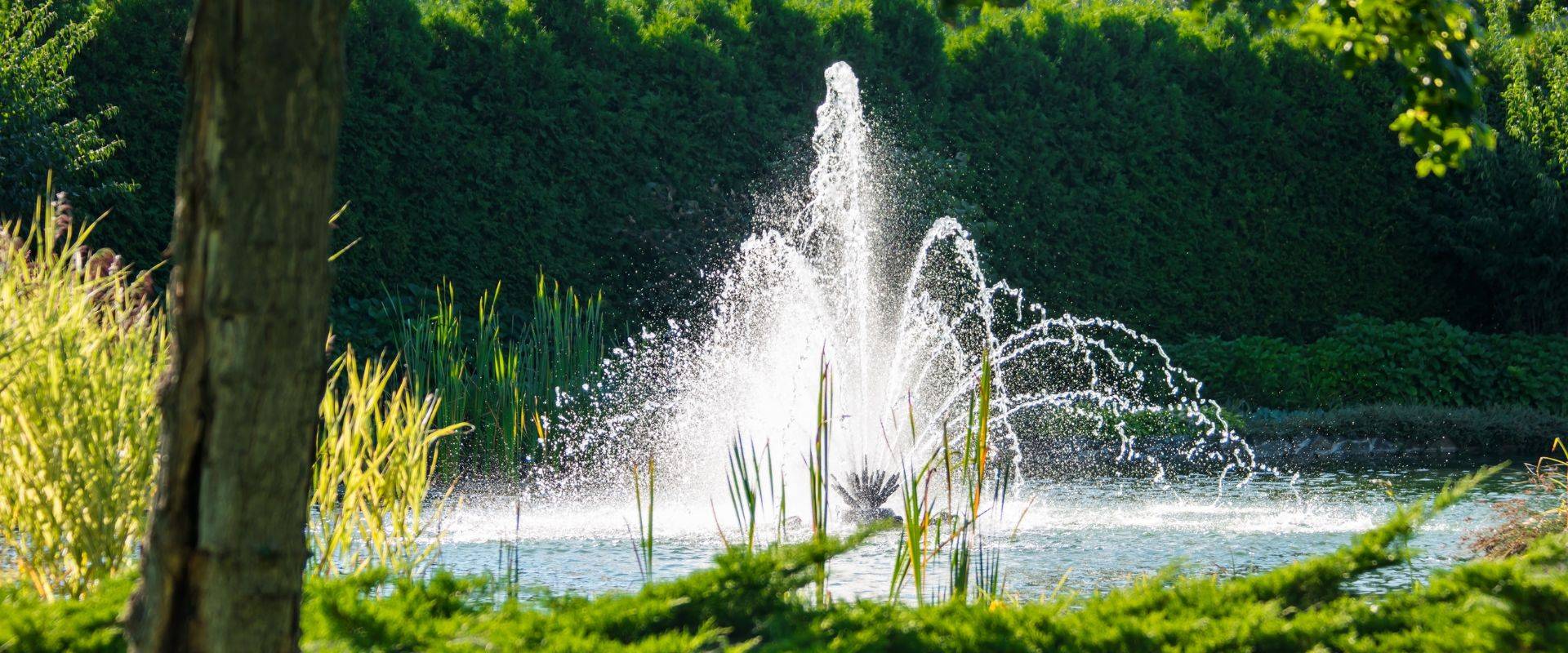 seven considerations in choosing a pond fountain