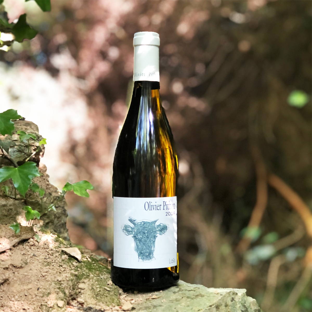 France, vin nature, rawwine, organic wine, vin bio, vin sans intrants, bistro brute, vin rouge, vin blanc, rouge, blanc, nature, vin propre, vigneron, vigneron indépendant, domaine bio, biodynamie, vigneron nature, cave vin naturel, cave vin, caviste, vin biodynamique, bistro brute, Quimper, Finistère , prix plus