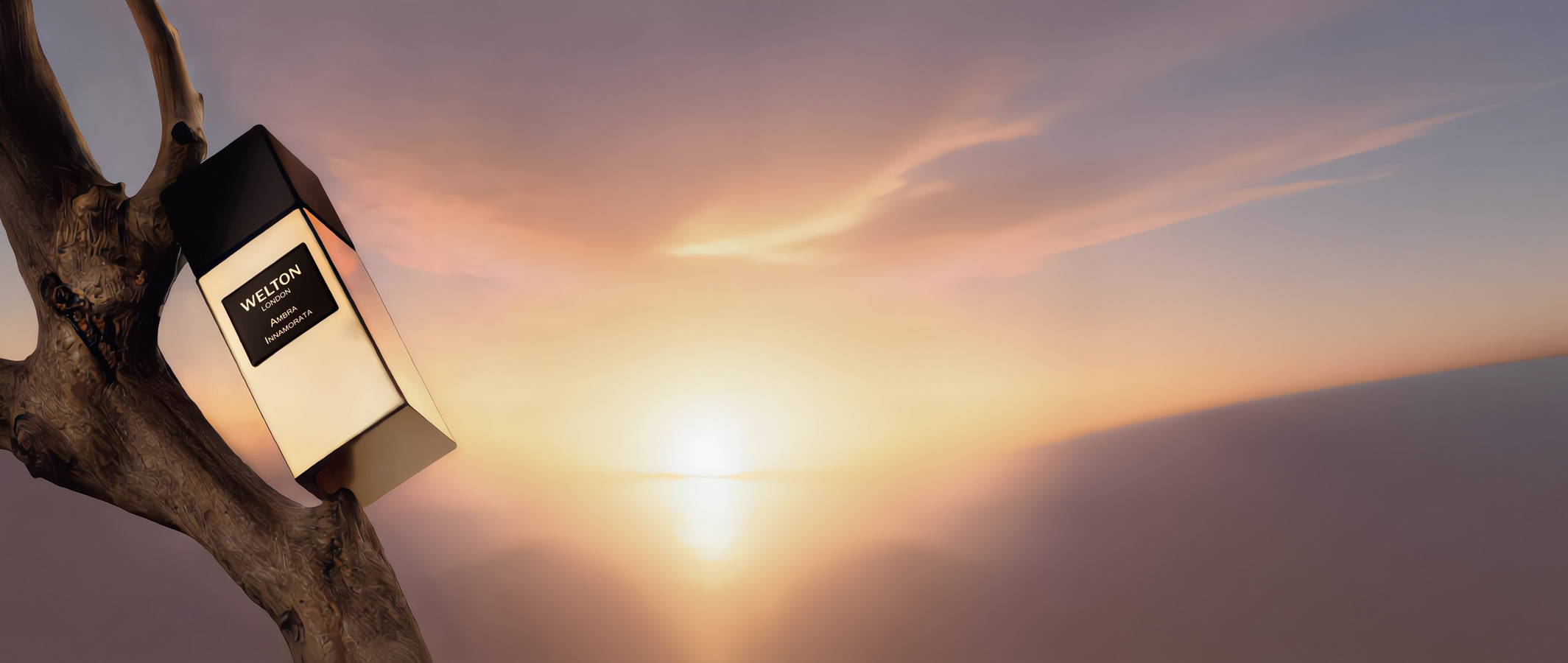 Ambra Innamorata, new Welton unisex perfume extract in a refillable bottle, displayed on a branch by the sea during golden hour, with a luminous mauve and golden sky, evoking an amber marine fragrance inspired by the beauty of the coast.