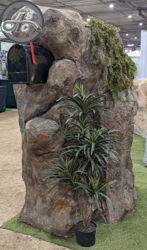 content gallery 2
