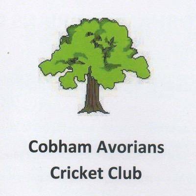 Cobham Avorians Cricket Club Cricket Club Logo