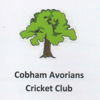 Cobham Avorians Cricket Club Logo