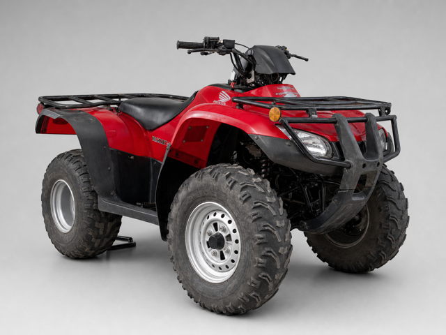 Honda Fourtrax ES 250 2013