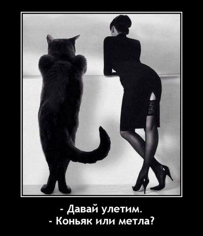 Давай улетим. Коньяк или метла?