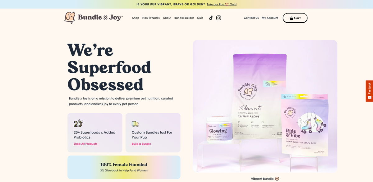 Screenshot of Bundle x Joy, from the startup websites collection.