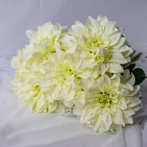 White Dahlia Bloom - Realistic Artificial Flowers