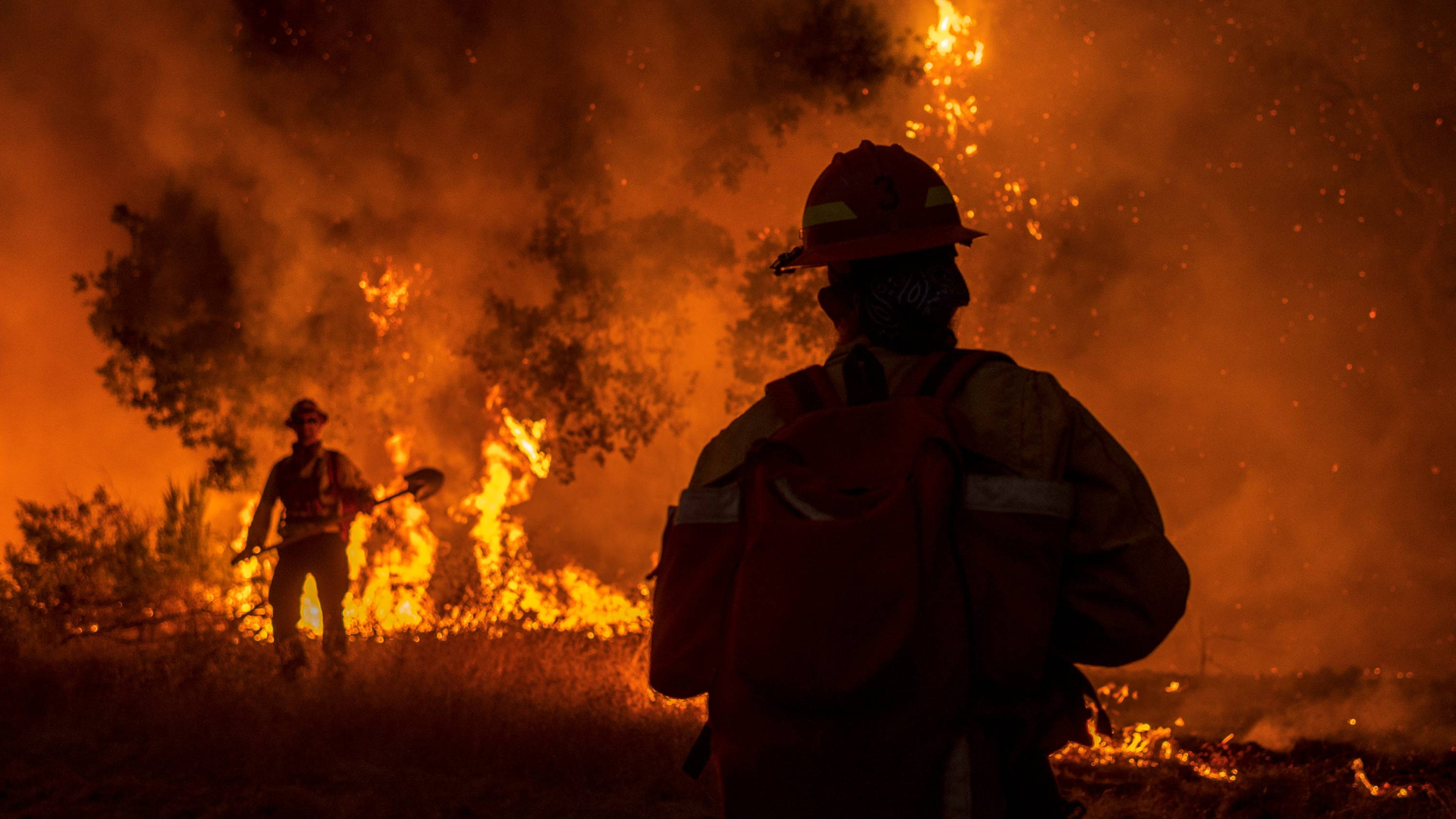 Firefighters in the forest