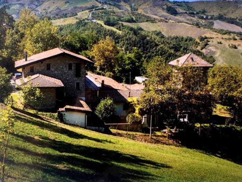 Food & Wine Tours Serramazzoni: Wine tasting and winery tour then dinner in Countryhouse.