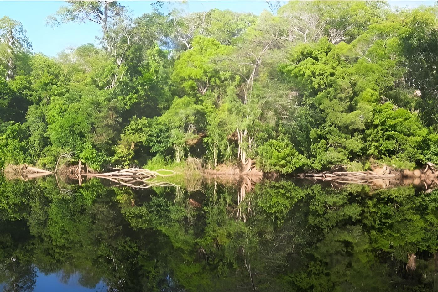 Rossville Retreat Voucher - Image 10