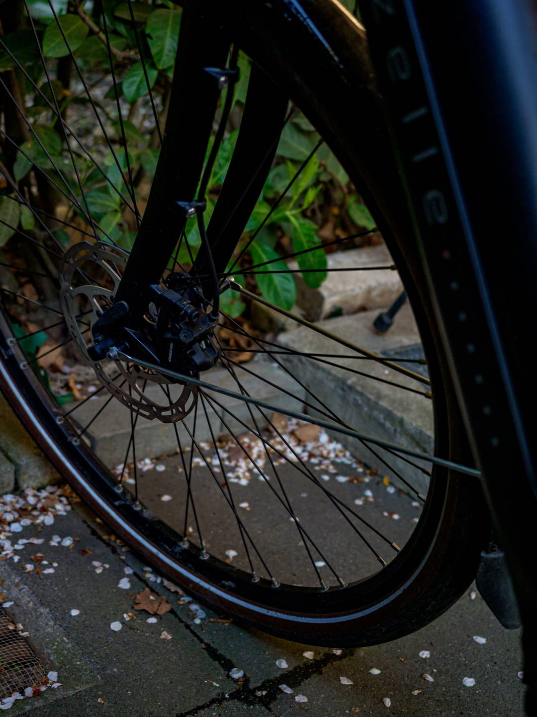 mountain bike elettrica