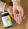 a bottle of Sweet Wheat capsules next to a woman's hands, holding three wheat grass capsules, the daily recommended dose