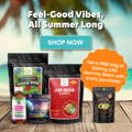 Shop magic mushroom gummies, Blue lotus extracts - Road trip, Tre house, Day Tripper