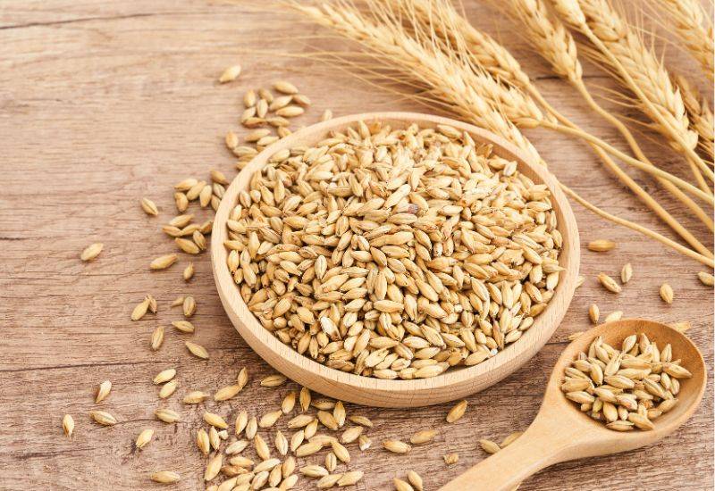 大麦アレルギー