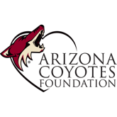 arizona coyotes diamondbacks night jersey